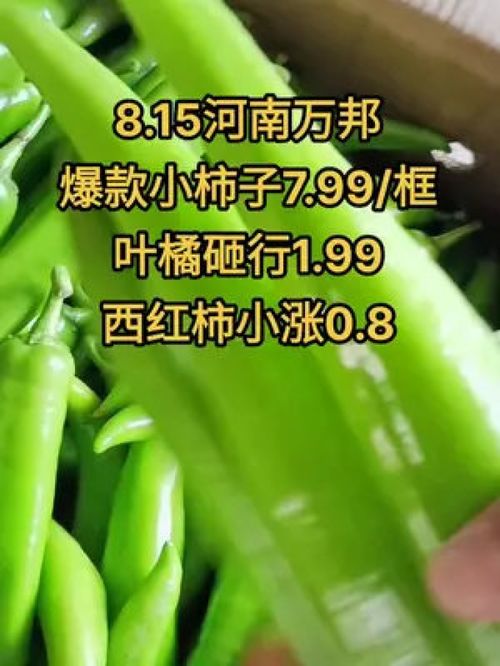 農產品市場行情持續低迷，水果蔬菜優質產品如何破局？