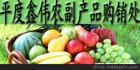 山東玉米市場價(jià)格、廠家信息與農(nóng)產(chǎn)品代理介紹