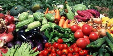 皖校食堂攜手，愛心采購助農惠學