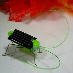 太陽(yáng)能益智玩具螞蚱 集成電路設(shè)計(jì)賦能綠色童年